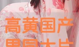 国产在线黄,揭秘国内色情内容产业的现状与挑战