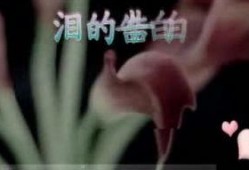 国产3p对白在线视频,揭秘激情四溢的私密世界