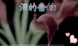 国产3p对白在线视频,揭秘激情四溢的私密世界