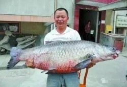 青鱼视频国产在线,国产在线影视盛宴，尽享视听盛宴